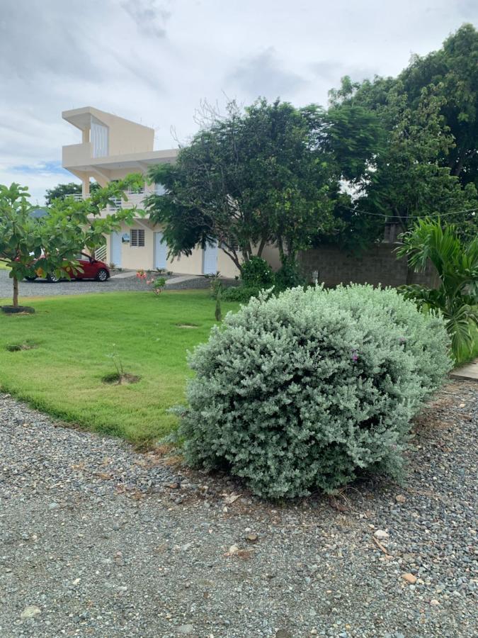 Hotel Anedi Concepción de La Vega Buitenkant foto