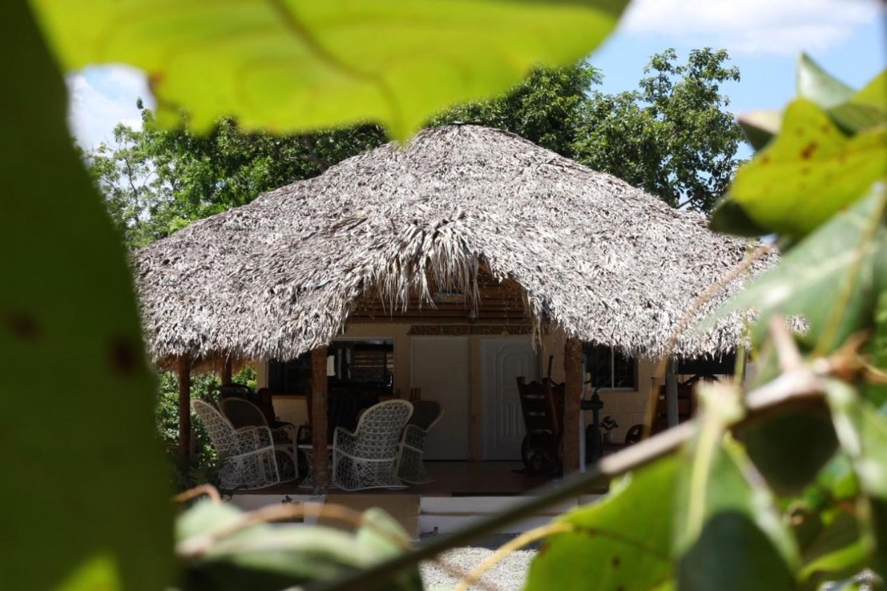 Hotel Anedi Concepción de La Vega Buitenkant foto